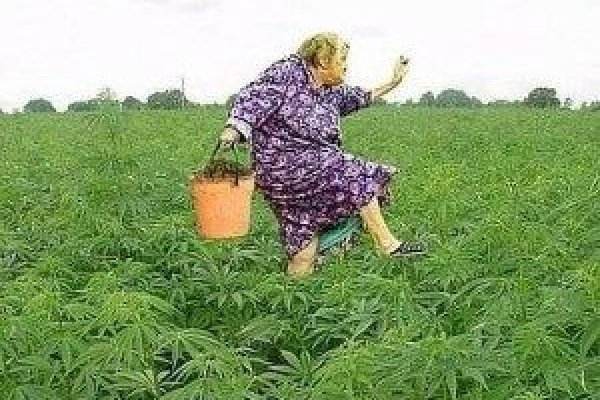 Что за площадка кракен
